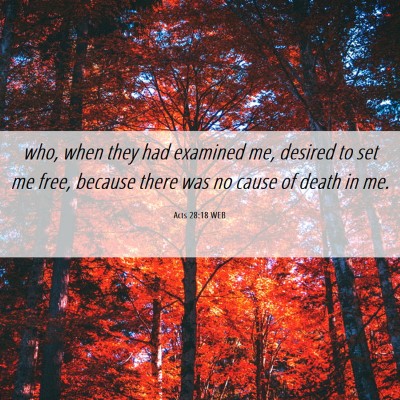 Picture 06 - Acts 28:18 WEB - who, when they had examined me, desired to set me - Bible Verse Picture