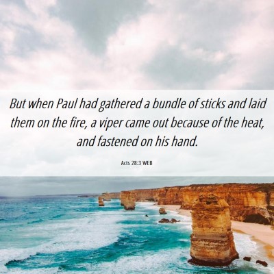 Picture 06 - Acts 28:3 WEB - But when Paul had gathered a bundle of sticks and - Bible Verse Picture