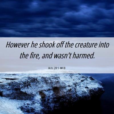 Picture 06 - Acts 28:5 WEB - However he shook off the creature into the fire, - Bible Verse Picture