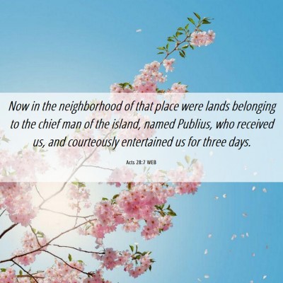 Picture 06 - Acts 28:7 WEB - Now in the neighborhood of that place were lands - Bible Verse Picture