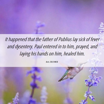 Picture 06 - Acts 28:8 WEB - It happened that the father of Publius lay sick - Bible Verse Picture