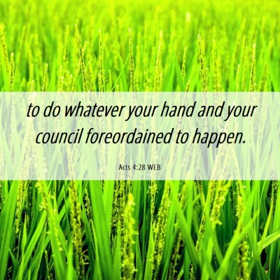 Picture 06 - Acts 4:28 WEB - to do whatever your hand and your council - Bible Verse Picture