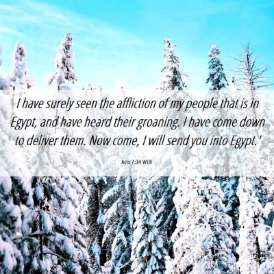 Picture 06 - Acts 7:34 WEB - I have surely seen the affliction of my people - Bible Verse Picture