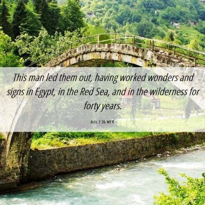 Picture 06 - Acts 7:36 WEB - This man led them out, having worked wonders and - Bible Verse Picture