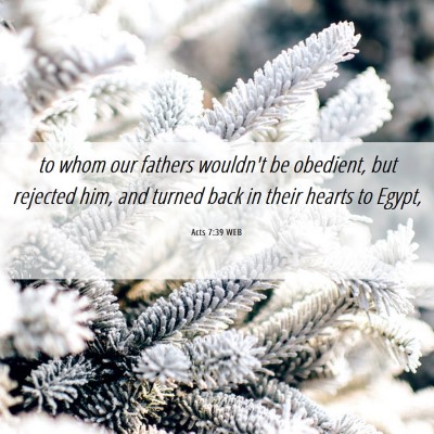 Picture 06 - Acts 7:39 WEB - to whom our fathers wouldn't be obedient, but - Bible Verse Picture