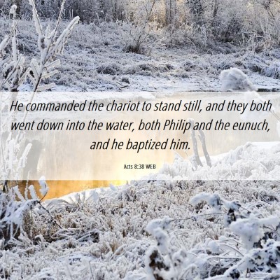 Picture 06 - Acts 8:38 WEB - He commanded the chariot to stand still, and they - Bible Verse Picture