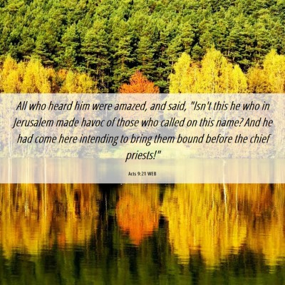 Picture 06 - Acts 9:21 WEB - All who heard him were amazed, and said, 