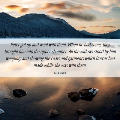 Picture 06 - Acts 9:39 WEB - Peter got up and went with them. When he had - Bible Verse Picture