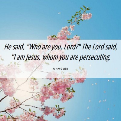 Picture 06 - Acts 9:5 WEB - He said, 