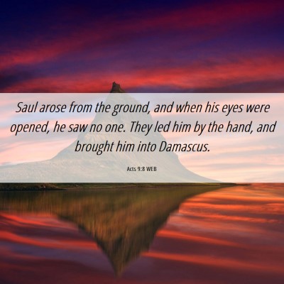 Picture 06 - Acts 9:8 WEB - Saul arose from the ground, and when his eyes - Bible Verse Picture