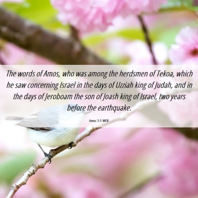 Picture 06 - Amos 1:1 WEB - The words of Amos, who was among the herdsmen of - Bible Verse Picture
