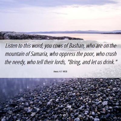 Picture 06 - Amos 4:1 WEB - Listen to this word, you cows of Bashan, who are - Bible Verse Picture