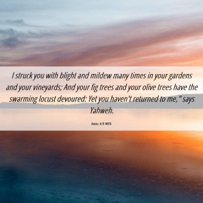 Picture 06 - Amos 4:9 WEB - I struck you with blight and mildew many times in - Bible Verse Picture