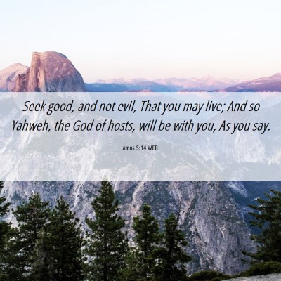 Picture 06 - Amos 5:14 WEB - Seek good, and not evil, That you may live; And - Bible Verse Picture