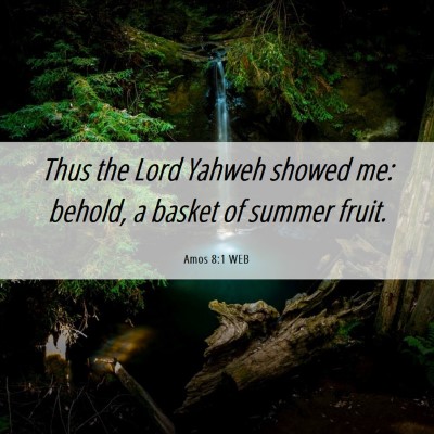 Picture 06 - Amos 8:1 WEB - Thus the Lord Yahweh showed me: behold, a basket - Bible Verse Picture
