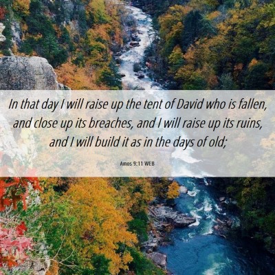 Picture 06 - Amos 9:11 WEB - In that day I will raise up the tent of David who - Bible Verse Picture