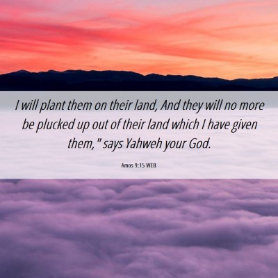 Picture 06 - Amos 9:15 WEB - I will plant them on their land, And they will no - Bible Verse Picture