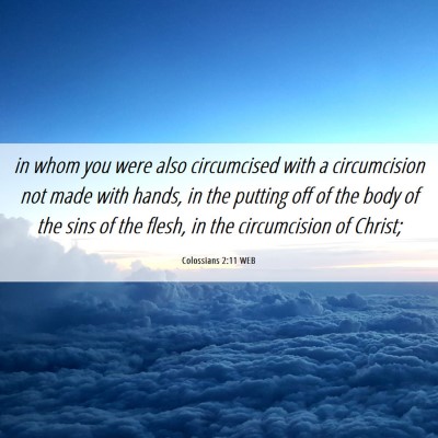 Picture 06 - Colossians 2:11 WEB - in whom you were also circumcised with a - Bible Verse Picture