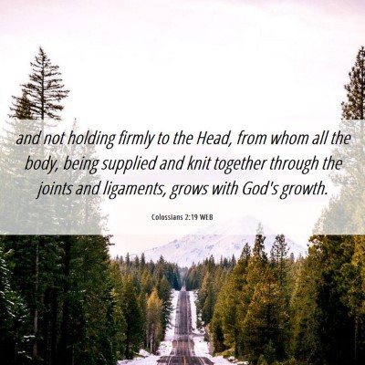 Picture 06 - Colossians 2:19 WEB - and not holding firmly to the Head, from whom all - Bible Verse Picture