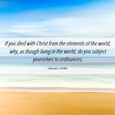 Picture 06 - Colossians 2:20 WEB - If you died with Christ from the elements of the - Bible Verse Picture