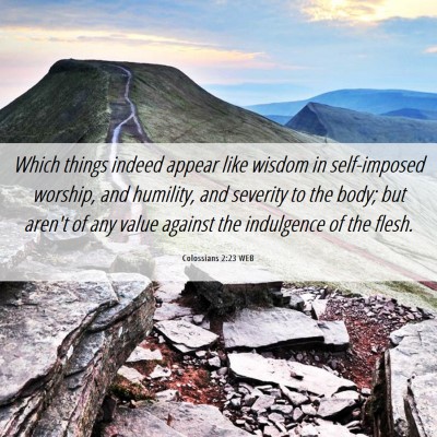 Picture 06 - Colossians 2:23 WEB - Which things indeed appear like wisdom in - Bible Verse Picture