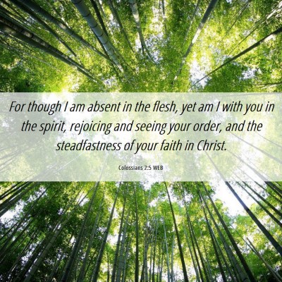 Picture 06 - Colossians 2:5 WEB - For though I am absent in the flesh, yet am I - Bible Verse Picture