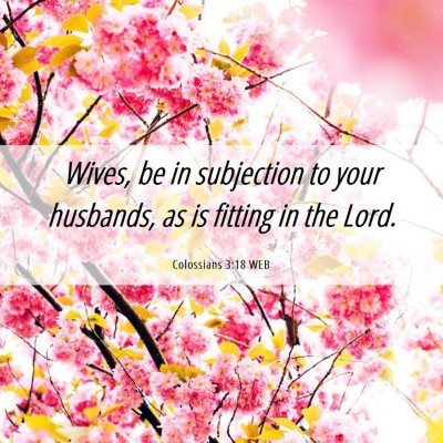 Picture 06 - Colossians 3:18 WEB - Wives, be in subjection to your husbands, as is - Bible Verse Picture