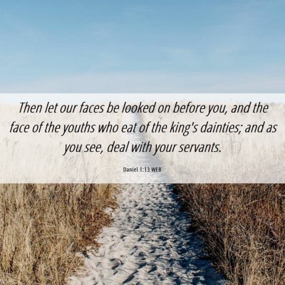 Picture 06 - Daniel 1:13 WEB - Then let our faces be looked on before you, and - Bible Verse Picture