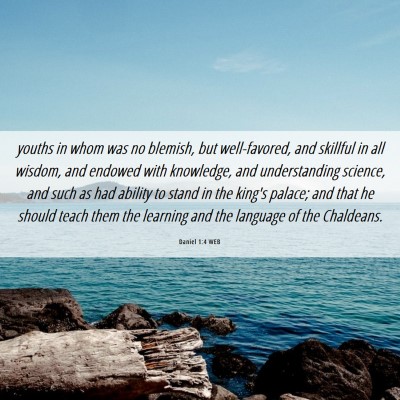 Picture 06 - Daniel 1:4 WEB - youths in whom was no blemish, but well-favored, - Bible Verse Picture