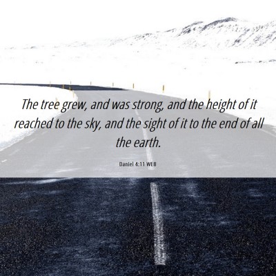 Picture 06 - Daniel 4:11 WEB - The tree grew, and was strong, and the height of - Bible Verse Picture