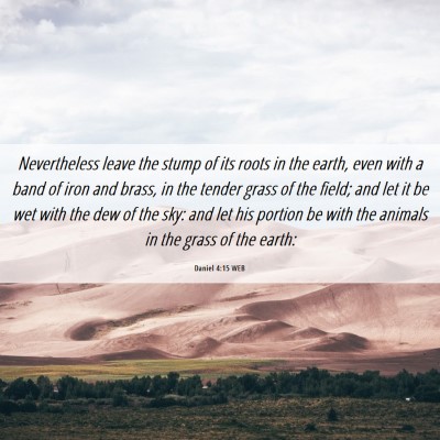 Picture 06 - Daniel 4:15 WEB - Nevertheless leave the stump of its roots in the - Bible Verse Picture