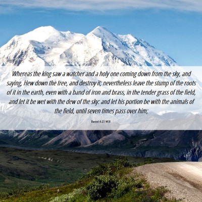Picture 06 - Daniel 4:23 WEB - Whereas the king saw a watcher and a holy one - Bible Verse Picture