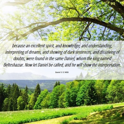 Picture 06 - Daniel 5:12 WEB - because an excellent spirit, and knowledge, and - Bible Verse Picture