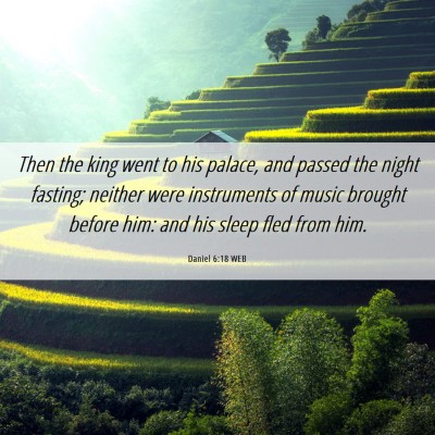Picture 06 - Daniel 6:18 WEB - Then the king went to his palace, and passed the - Bible Verse Picture