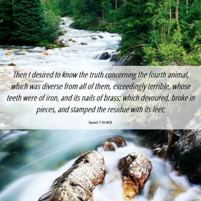 Picture 06 - Daniel 7:19 WEB - Then I desired to know the truth concerning the - Bible Verse Picture
