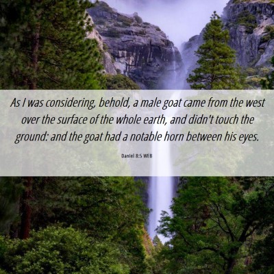 Picture 06 - Daniel 8:5 WEB - As I was considering, behold, a male goat came - Bible Verse Picture