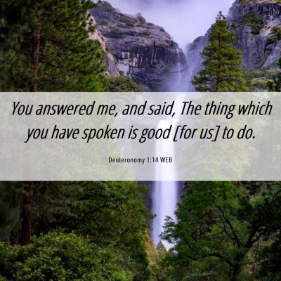 Picture 06 - Deuteronomy 1:14 WEB - You answered me, and said, The thing which you - Bible Verse Picture