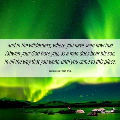 Picture 06 - Deuteronomy 1:31 WEB - and in the wilderness, where you have seen how - Bible Verse Picture