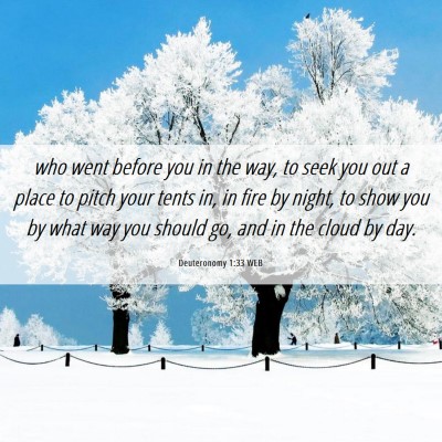 Picture 06 - Deuteronomy 1:33 WEB - who went before you in the way, to seek you out a - Bible Verse Picture