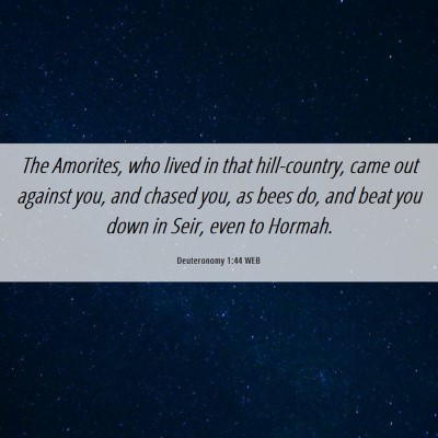Picture 06 - Deuteronomy 1:44 WEB - The Amorites, who lived in that hill-country, - Bible Verse Picture