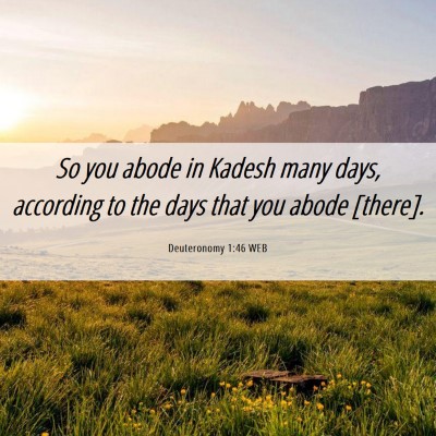 Picture 06 - Deuteronomy 1:46 WEB - So you abode in Kadesh many days, according to - Bible Verse Picture