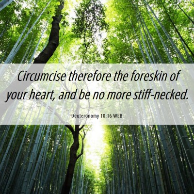Picture 06 - Deuteronomy 10:16 WEB - Circumcise therefore the foreskin of your heart, - Bible Verse Picture