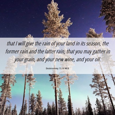 Picture 06 - Deuteronomy 11:14 WEB - that I will give the rain of your land in its - Bible Verse Picture