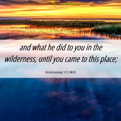 Picture 06 - Deuteronomy 11:5 WEB - and what he did to you in the wilderness, until - Bible Verse Picture