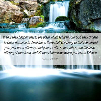 Picture 06 - Deuteronomy 12:11 WEB - then it shall happen that to the place which - Bible Verse Picture