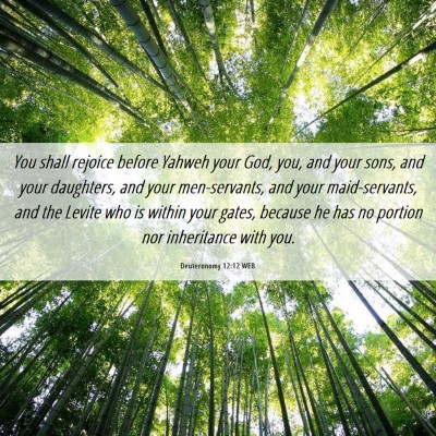 Picture 06 - Deuteronomy 12:12 WEB - You shall rejoice before Yahweh your God, you, - Bible Verse Picture