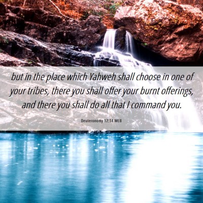 Picture 06 - Deuteronomy 12:14 WEB - but in the place which Yahweh shall choose in one - Bible Verse Picture