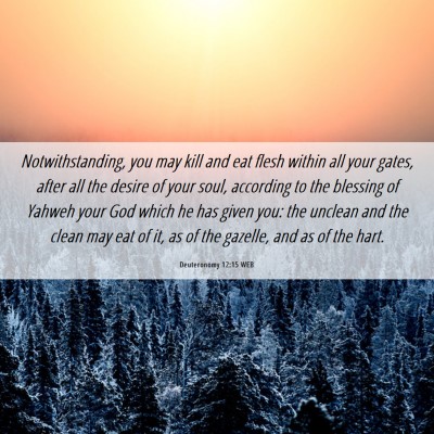 Picture 06 - Deuteronomy 12:15 WEB - Notwithstanding, you may kill and eat flesh - Bible Verse Picture