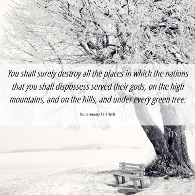 Picture 06 - Deuteronomy 12:2 WEB - You shall surely destroy all the places in which - Bible Verse Picture