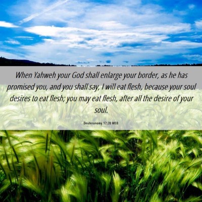 Picture 06 - Deuteronomy 12:20 WEB - When Yahweh your God shall enlarge your border, - Bible Verse Picture